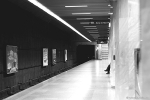 portofoliu, publicitate