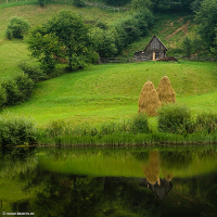 Sorin Buturugeanu, natura