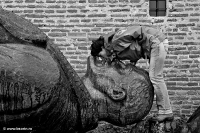 blog, Sorin Buturugeanu