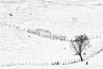 blog, foto, aparat