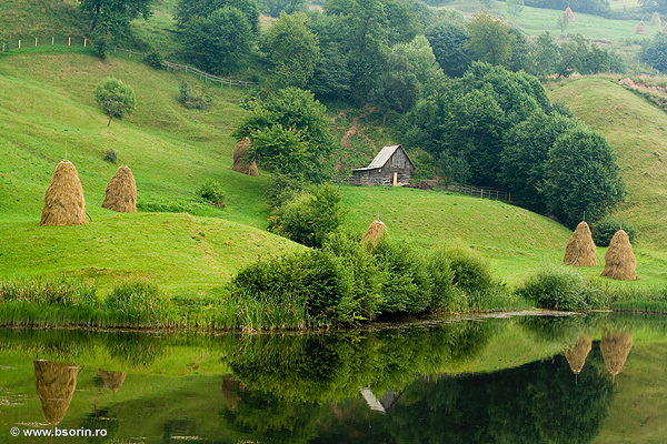 Sorin, fotograf, natura