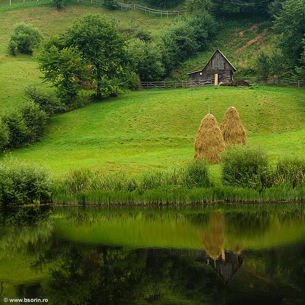 fotograf, peisaj, portofoliu, foto
