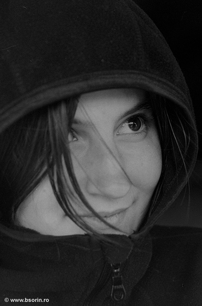 blog, portofoliu