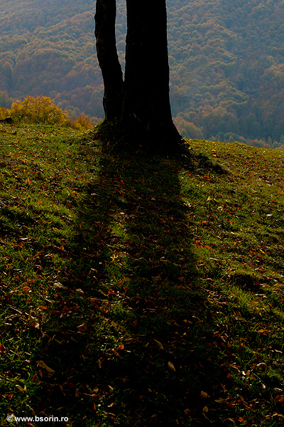peisaj, portofoliu, Sorin